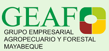 Grupo Empresarial Agropecuario y Forestal Mayabeque OSDE